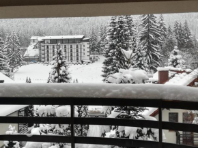 Riba House Poiana Brașov
